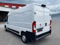 Peugeot Boxer Hoch 335 L3H2 Premium BlueHDi*KLIMA*KAMERA Alb - thumbnail 4