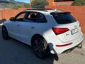 Audi SQ5 3.0TDI Plus quattro Tiptronic 340 Blanco - thumbnail 2