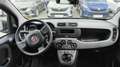 Fiat Panda Cross City Plus 5-Sitzer, Klima, ZV+FB, FH Schwarz - thumbnail 7