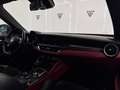 Alfa Romeo Stelvio 2.9 Bi-Turbo Q4 Quadrifoglio AT8 Rojo - thumbnail 14
