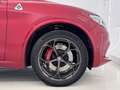 Alfa Romeo Stelvio 2.9 Bi-Turbo Q4 Quadrifoglio AT8 Rojo - thumbnail 12