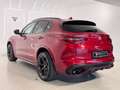 Alfa Romeo Stelvio 2.9 Bi-Turbo Q4 Quadrifoglio AT8 Rojo - thumbnail 6