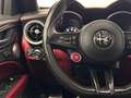 Alfa Romeo Stelvio 2.9 Bi-Turbo Q4 Quadrifoglio AT8 Rojo - thumbnail 7