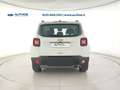 Jeep Renegade 1.0 t3 Limited 2wd Bianco - thumbnail 6