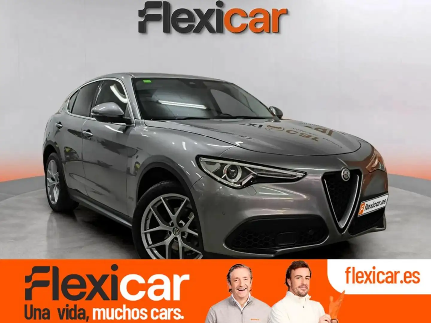 Alfa Romeo Stelvio 2.0 Petrol 206kW (280CV) First Ed.II Q4 Gris - 1
