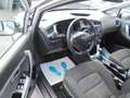 Kia Ceed SW / cee'd SW Cee'd Sportswagon Edition 7 Argento - thumbnail 12