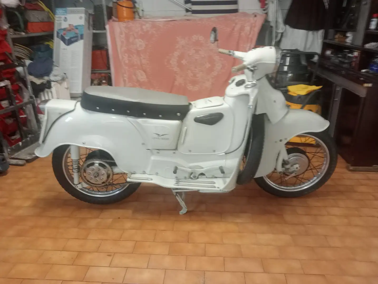 Moto Guzzi Galletto 192 Beige - 2