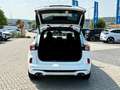 Ford Kuga Plug-In Hybrid ST-Line X LED 19-Zoll Weiß - thumbnail 6