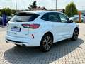 Ford Kuga Plug-In Hybrid ST-Line X LED 19-Zoll Weiß - thumbnail 8