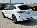 Ford Kuga Plug-In Hybrid ST-Line X LED 19-Zoll Weiß - thumbnail 5