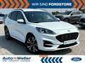Ford Kuga Plug-In Hybrid ST-Line X LED 19-Zoll Weiß - thumbnail 1