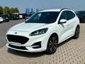 Ford Kuga Plug-In Hybrid ST-Line X LED 19-Zoll Weiß - thumbnail 3