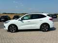 Ford Kuga Plug-In Hybrid ST-Line X LED 19-Zoll Weiß - thumbnail 4