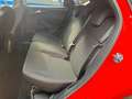 Ford Focus Lim. ST-Line NAVI*SHZ*PDC*GRA Červená - thumbnail 14