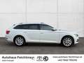 Skoda Superb Kombi 2,0 TDI DSG Style 5t. Weiß - thumbnail 4