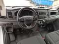 Ford Transit FT 310 L2 Van Trend 130 Blanco - thumbnail 11