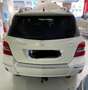 Mercedes-Benz GLK 220 GLK 220CDI BE 4M Aut. Blanco - thumbnail 7