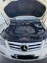Mercedes-Benz GLK 220 GLK 220CDI BE 4M Aut. Blanco - thumbnail 4