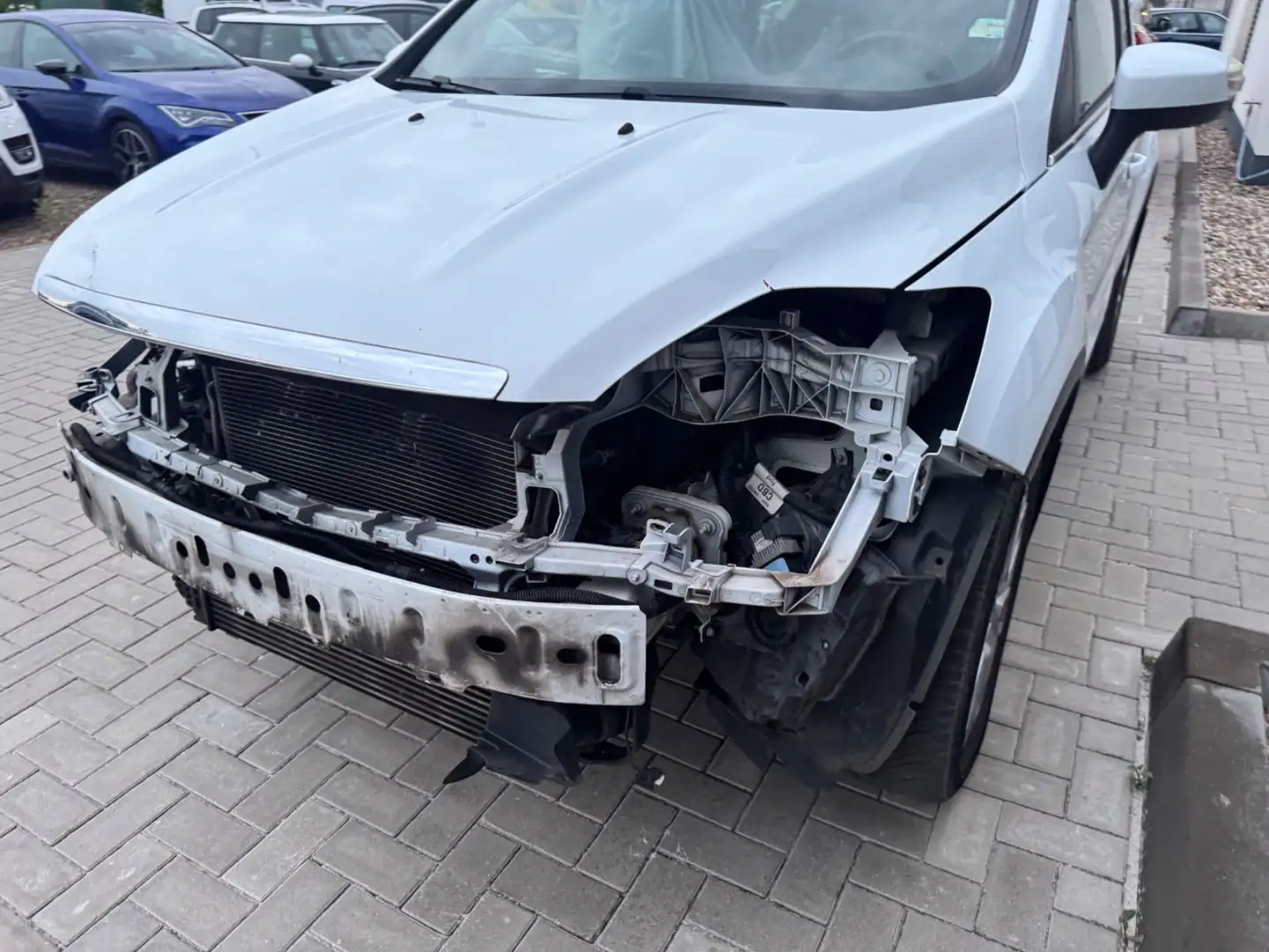 Ford Kuga Champions Edition 2.0TDCI Weiß - 2