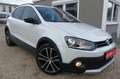 Volkswagen Polo V Cross/Alcantara/SHZ/Klima/Navi/CarPlay Weiß - thumbnail 2
