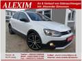 Volkswagen Polo V Cross/Alcantara/SHZ/Klima/Navi/CarPlay Weiß - thumbnail 1