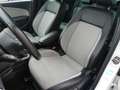 Volkswagen Polo V Cross/Alcantara/SHZ/Klima/Navi/CarPlay Weiß - thumbnail 10