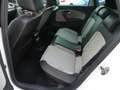 Volkswagen Polo V Cross/Alcantara/SHZ/Klima/Navi/CarPlay Weiß - thumbnail 17