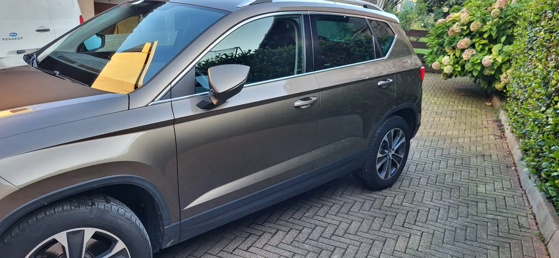 SEAT Ateca Ateca 2.0 tdi Style 4drive Bronzo - 2