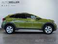 Volkswagen Taigo 1.0 TSI OPF DSG Life *CarPlay*ACC*LED*PDC*LMF* Grün - thumbnail 19