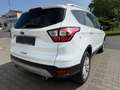 Ford Kuga 1.5 Alufelgen Finanzierung Neuer Tüv+Servic Weiß - thumbnail 9