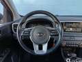 Kia Sportage 1.6 CRDI 136 CV DCT7 2WD Mild Hybrid MHEV Business Grigio - thumbnail 12