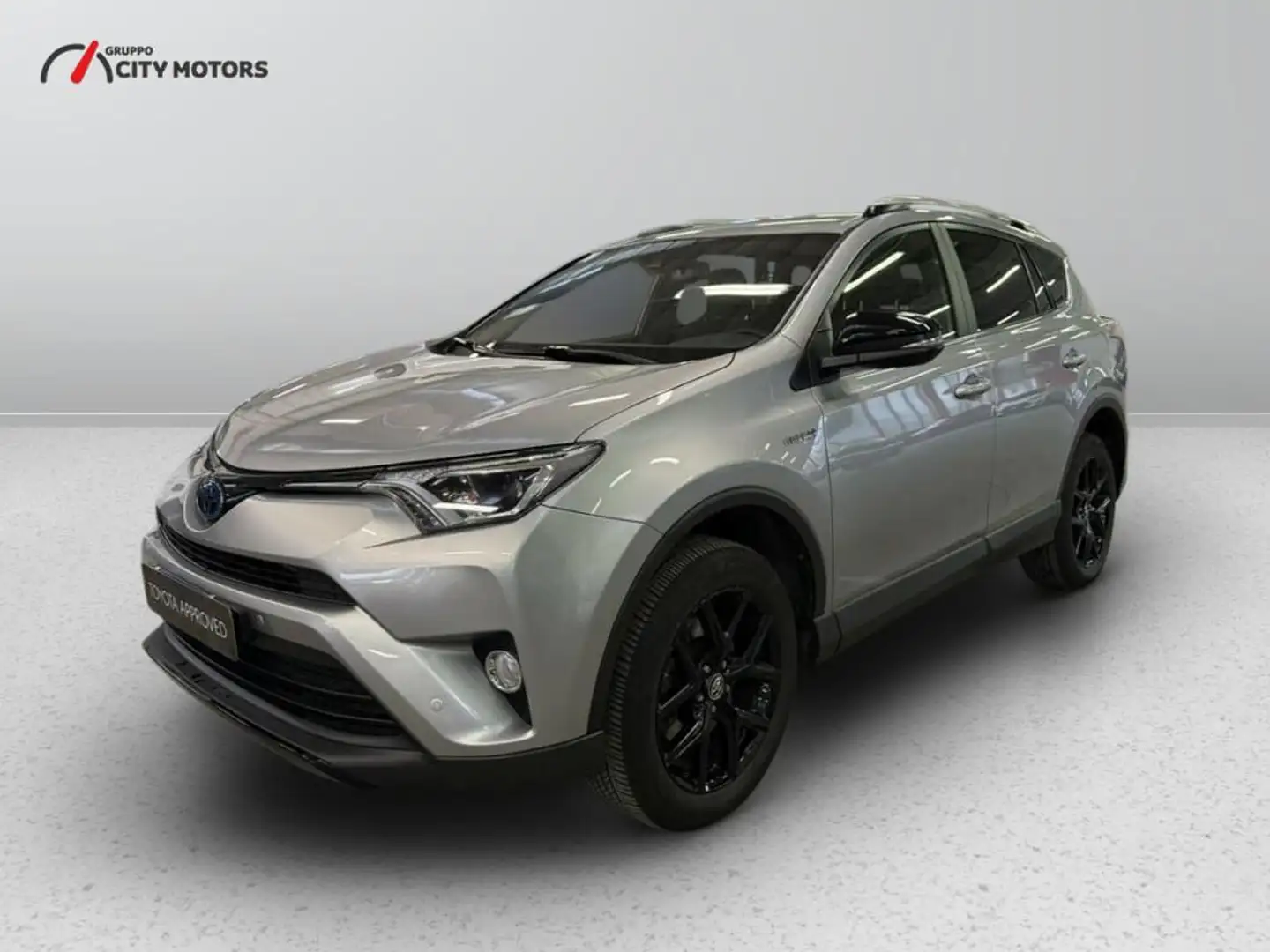 Toyota RAV 4 2.5 vvt-i hybrid Business 4wd e-cvt my17 Argento - 1
