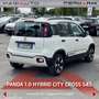 Fiat Panda Panda 1.0 FireFly S&S Hybrid City Cross Launch Ed Blanc - thumbnail 15