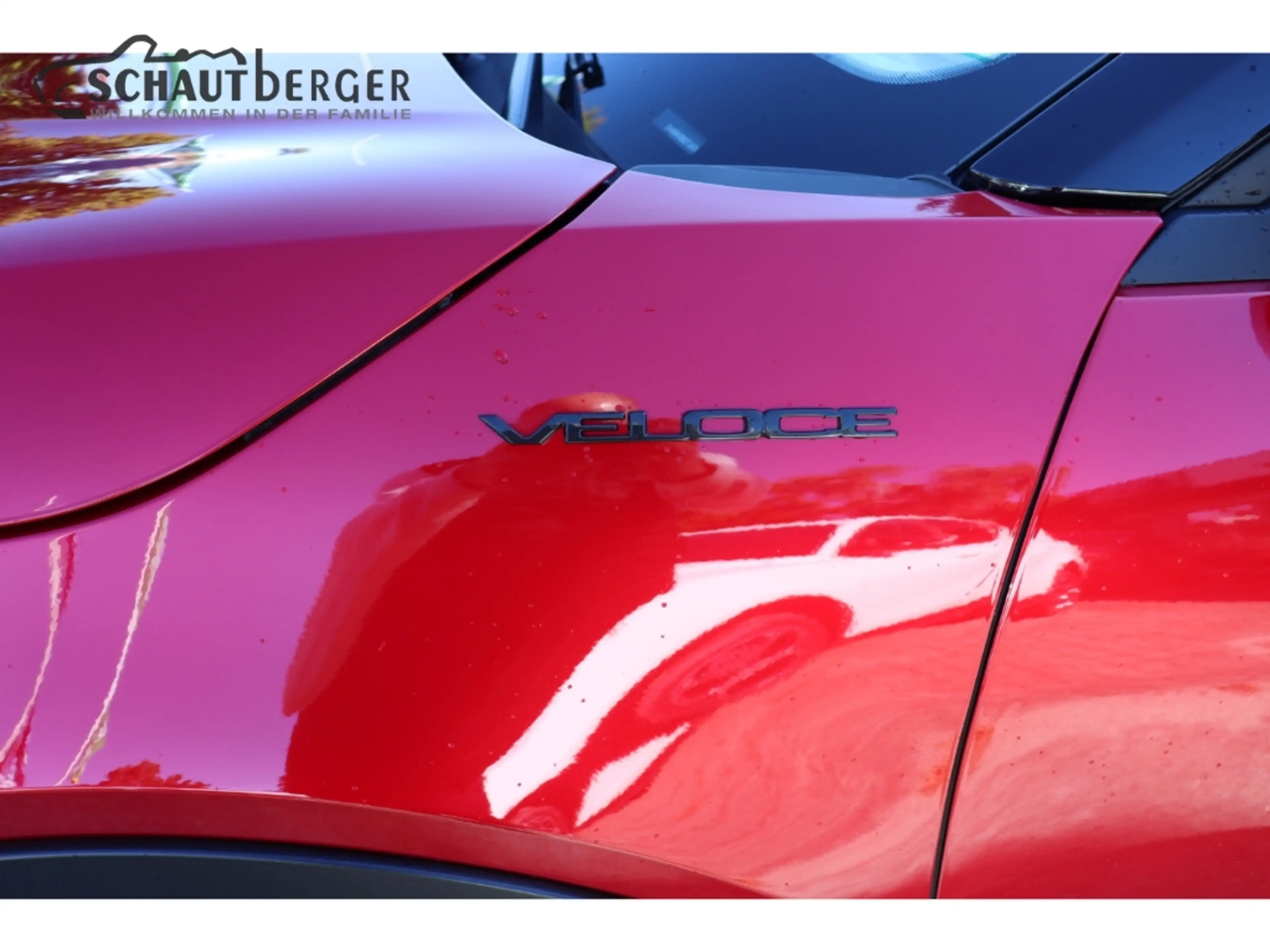 Alfa Romeo Junior Elettrica 280 207 kW Veloce Sportpaket El. Panodac — photo 6