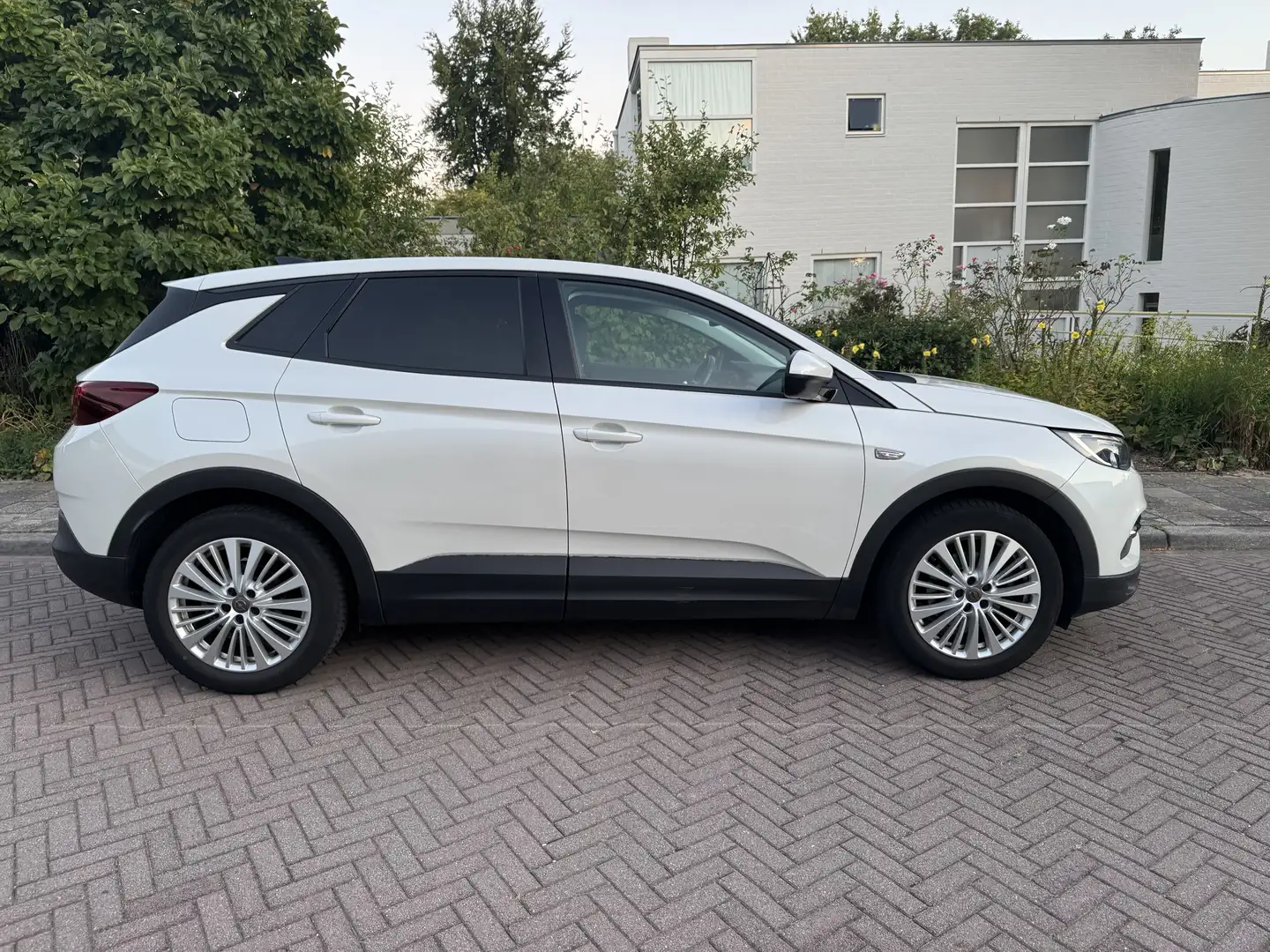 Opel Grandland X 1.2 Turbo Online Edition Alb - 1