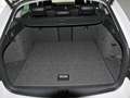 Skoda Octavia 4x4 Scout TDI Wit - thumbnail 10
