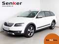 Skoda Octavia 4x4 Scout TDI Wit - thumbnail 1