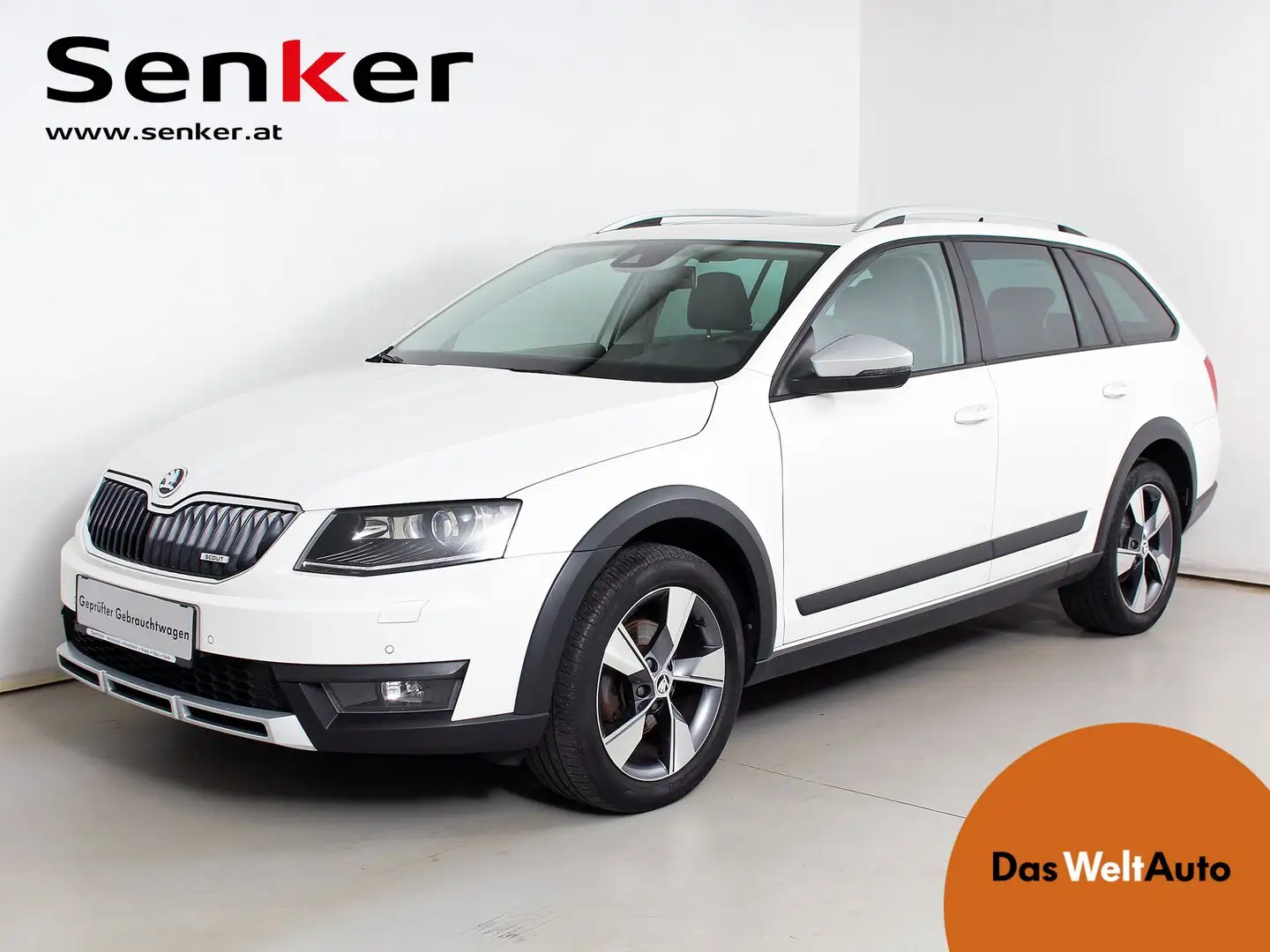 Skoda Octavia 4x4 Scout TDI Wit - 1