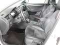 Skoda Octavia 4x4 Scout TDI Wit - thumbnail 3