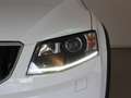 Skoda Octavia 4x4 Scout TDI Wit - thumbnail 11