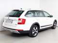 Skoda Octavia 4x4 Scout TDI Wit - thumbnail 2