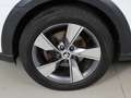 Skoda Octavia 4x4 Scout TDI Wit - thumbnail 13