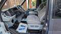 Ford Tourneo Transit Tourneo, Behindertengerecht, Rampe Grau - thumbnail 21