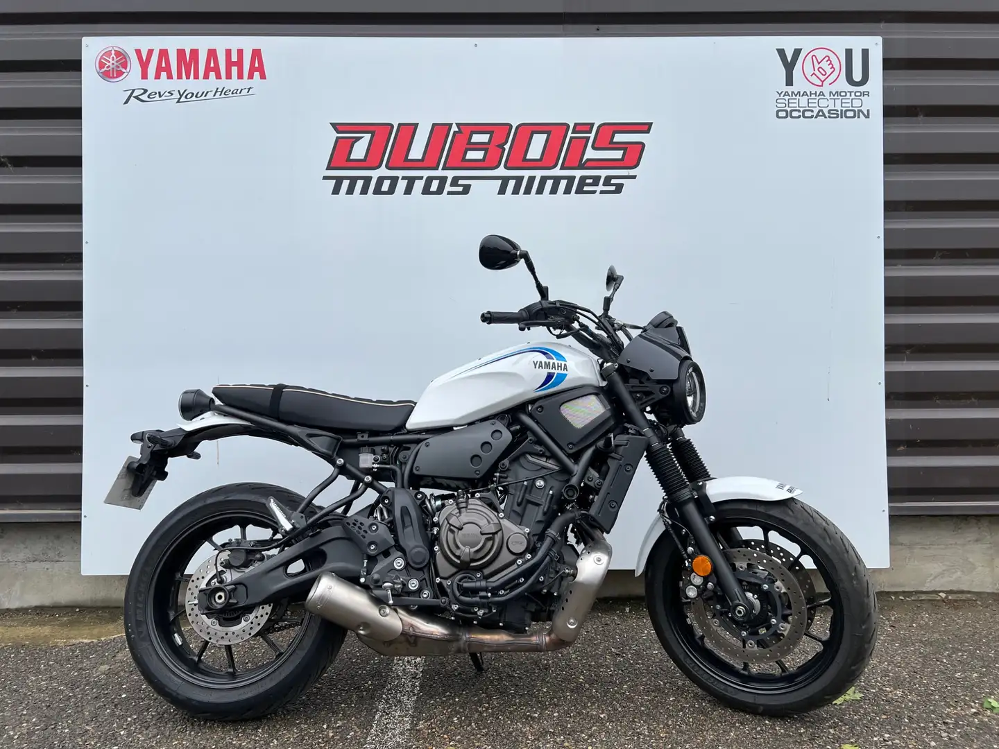Yamaha XSR 700 Bianco - 1