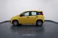 Fiat New Panda My25 1.0 FireFly S&S Hybrid Galben - thumbnail 3
