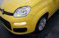 Fiat New Panda My25 1.0 FireFly S&S Hybrid Geel - thumbnail 26