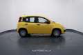 Fiat New Panda My25 1.0 FireFly S&S Hybrid Galben - thumbnail 7