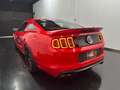 Ford Mustang Shelby GT 500 Rot - thumbnail 5