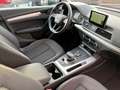 Audi Q5 Q5 35 2.0 tdi Business quattro 163cv s-tronic Grijs - thumbnail 23