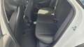 Kia K4 Sportswagon 1.6 T-GDI 110 kW Vision SW DCT+NAVI... Weiß - thumbnail 9